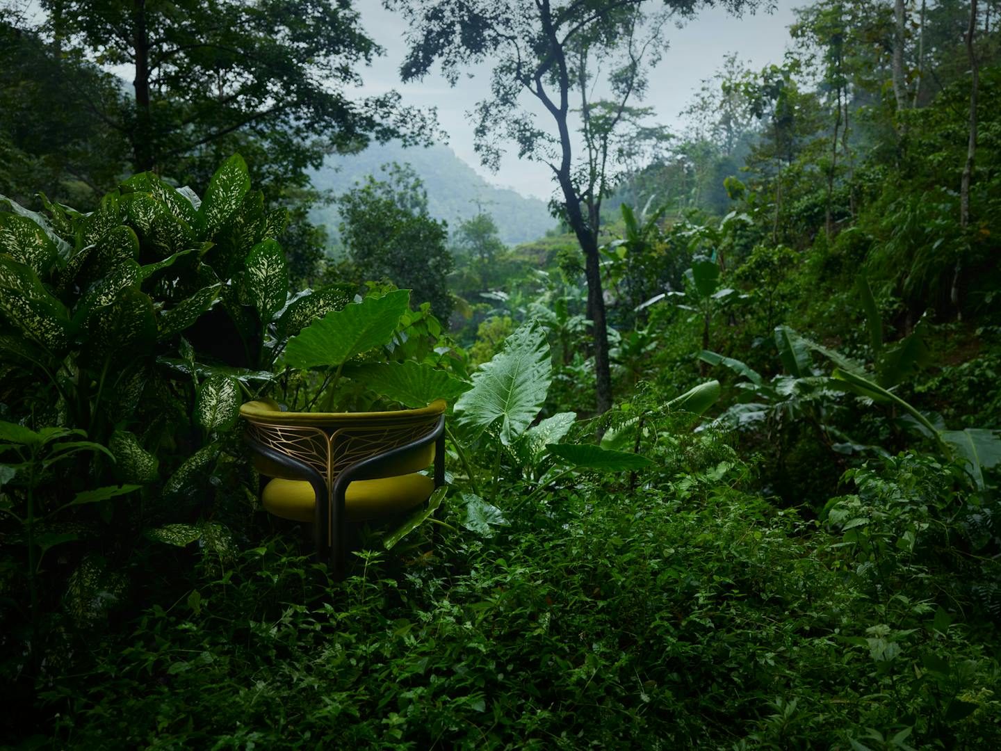 Tomorrowland and Ethnicraft furniture collaboration