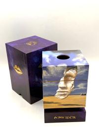 Consciencia - Treasure Case 2026, Tomorrowland 2026 festival collectible, detail view