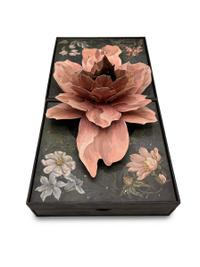 LIFE - Treasure Case (20th Anniversary Edition) - 2024, Tomorrowland 2024 festival collectible, detail view