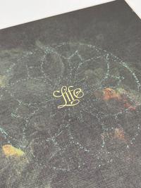 LIFE - Treasure Case (20th Anniversary Edition) - 2024, Tomorrowland 2024 festival collectible, detail view