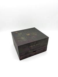 LIFE - Treasure Case (20th Anniversary Edition) - 2024, Tomorrowland 2024 festival collectible, front view