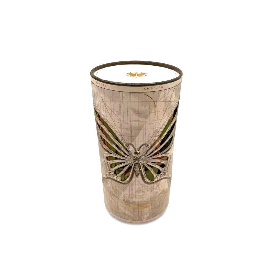 Sanctuary of the Butterflies - Tomorrowland Winter 2026 Treasure Case, Tomorrowland 2026 festival collectible, front view