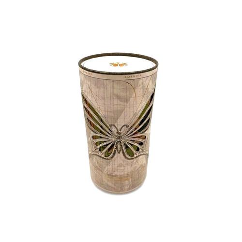 Sanctuary of the Butterflies - Tomorrowland Winter 2026 Treasure Case, Tomorrowland 2026 collectible, front view