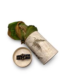 Sanctuary of the Butterflies - Tomorrowland Winter 2026 Treasure Case, Tomorrowland 2026 festival collectible, detail view