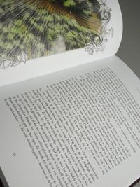 The Book of Wisdom - The Return - Treasure Case 2019, Tomorrowland 2019 festival collectible, detail view