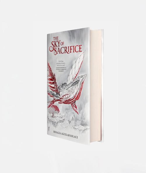 The Sky Of Sacrifice (EN) Tomorrowland festival collectible, front view