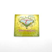 Tomorrowland 2010 – Official CD, Tomorrowland 2010 festival collectible, front view
