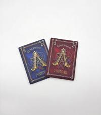 Tomorrowland 2023 Adscendo – Floorplan & Timetable, Tomorrowland 2023 festival collectible, front view