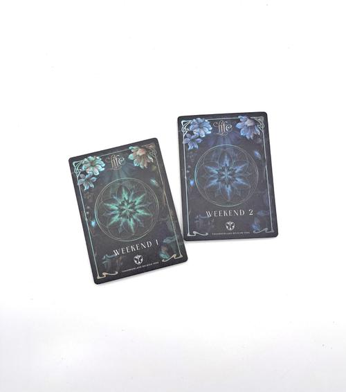 Tomorrowland 2024 LIFE – Floorplan & Timetable, Tomorrowland 2024 collectible, front view