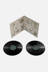 Tomorrowland 2024 — LIVE Official Compilation (Vinyl), Tomorrowland 2024 festival collectible, detail view