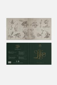 Tomorrowland 2024 — LIVE Official Compilation (Vinyl), Tomorrowland 2024 festival collectible, detail view