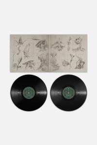 Tomorrowland 2024 — LIVE Official Compilation (Vinyl), Tomorrowland 2024 festival collectible, detail view
