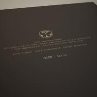 Tomorrowland Vinyl Trilogy Part III – 2015–2019 Anthems, Tomorrowland 2022 festival collectible, detail view