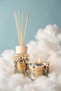 Tomorrowland x Baobab Collection 2026, Tomorrowland 2026 festival collectible, detail view