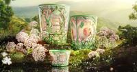 Tomorrowland x Baobab Collection – 20th Anniversary Collection (2024), Tomorrowland 2024 festival collectible, detail view