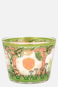 Tomorrowland x Baobab Collection – 20th Anniversary Collection (2024), Tomorrowland 2024 festival collectible, detail view
