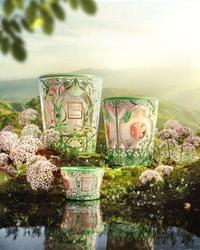 Tomorrowland x Baobab Collection – 20th Anniversary Collection (2024), Tomorrowland 2024 festival collectible, detail view