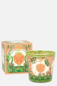 Tomorrowland x Baobab Collection – 20th Anniversary Collection (2024), Tomorrowland 2024 festival collectible, detail view