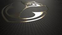 Tomorrowland XV Vinyl (5LP) – The Best of 15 Years Tomorrowland, Tomorrowland 2019 festival collectible, detail view